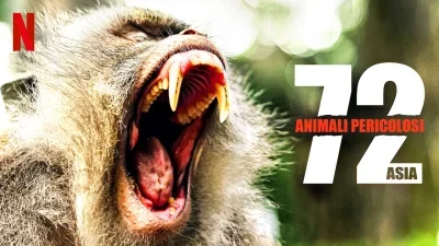 72 Dangerous Animals: Asia